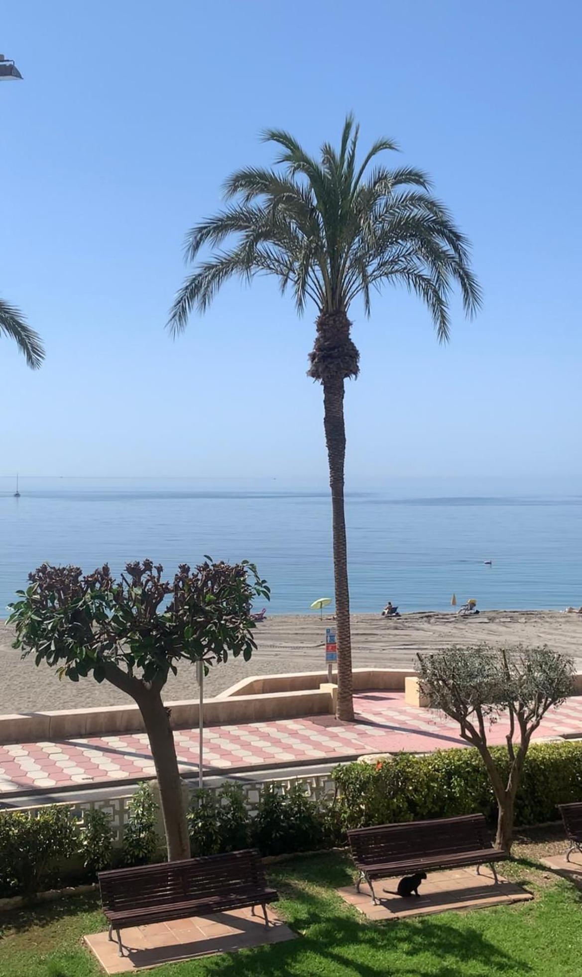 Brisas Del Mar Mediterraneo Aguadulce  Buitenkant foto